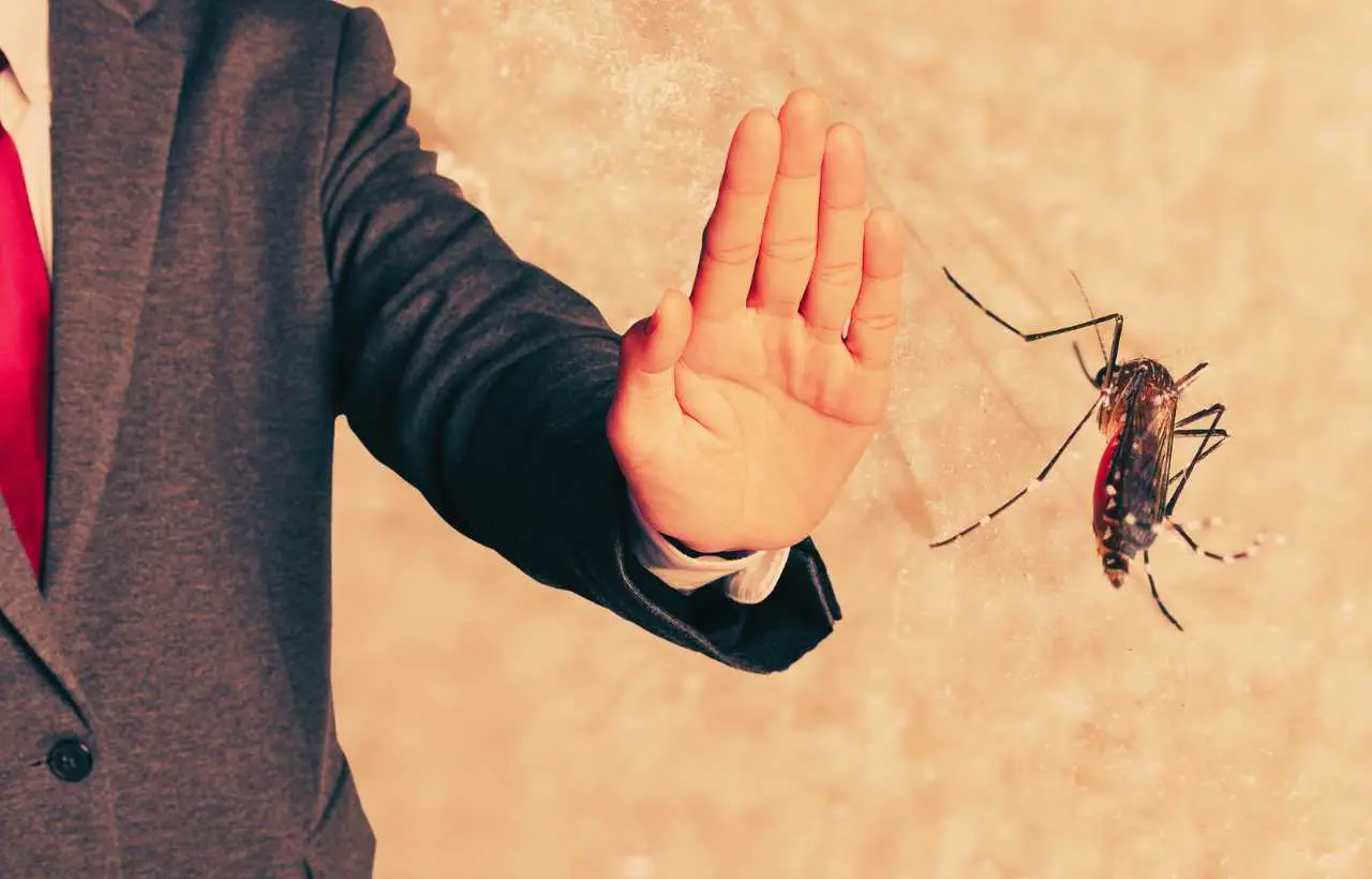 Stop zanzare in casa: quali sono i migliori larvicidi naturali e come agiscono