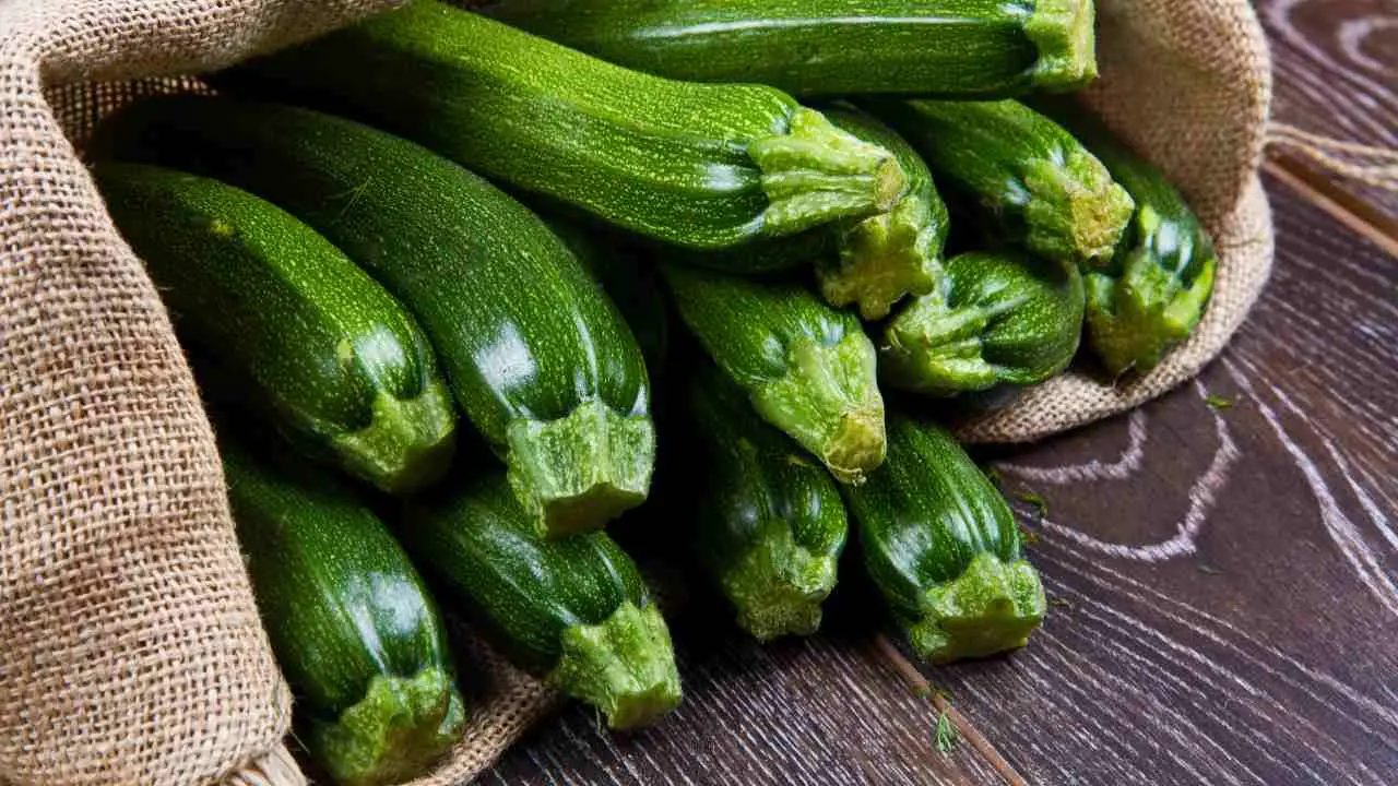 Le tue zucchine non crescono o sono amare? Stai sbagliando completamente l’esposizione al sole