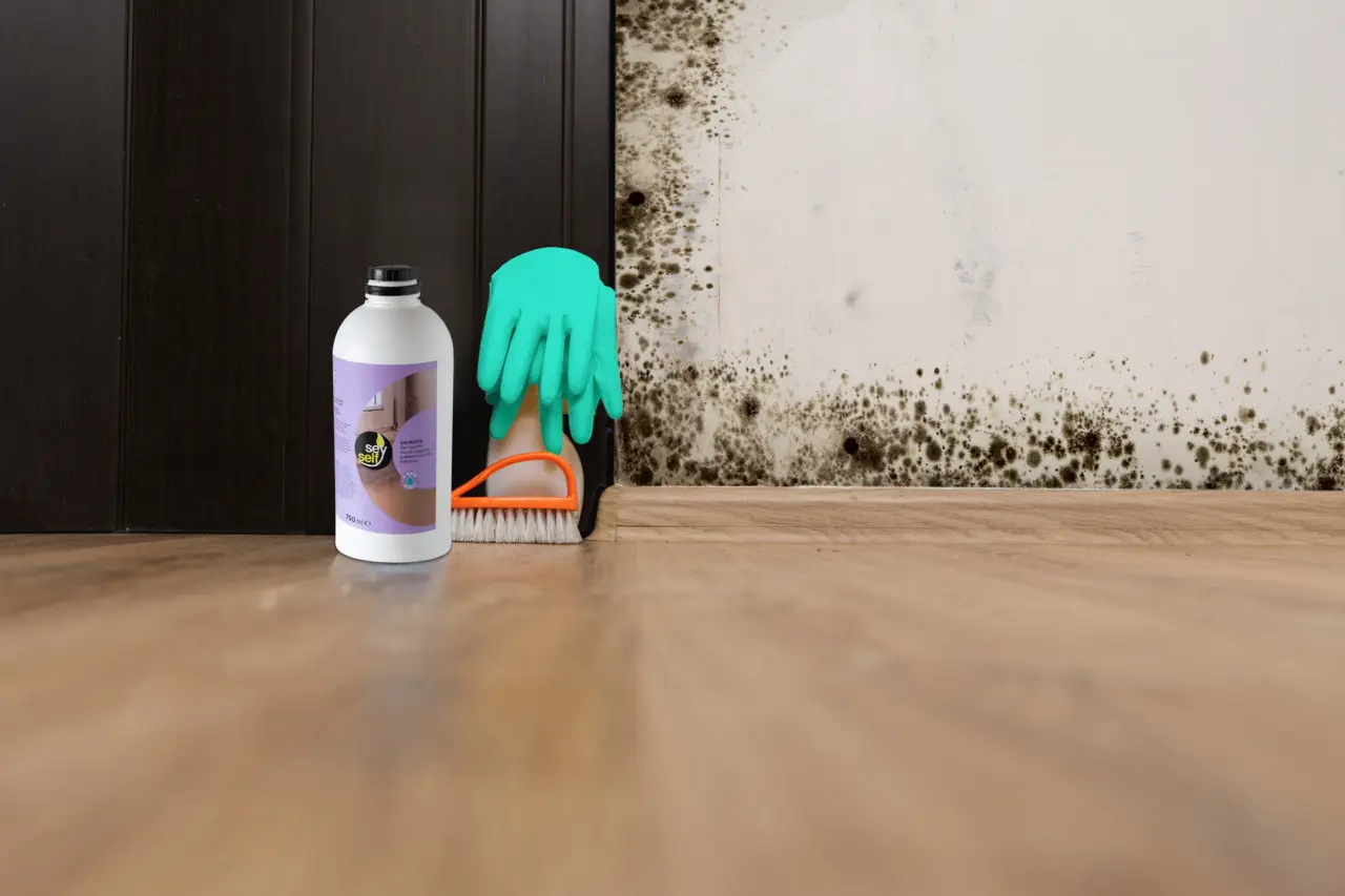 Attenzione se trovi questi piccoli puntini neri in casa: ecco cosa sono davvero